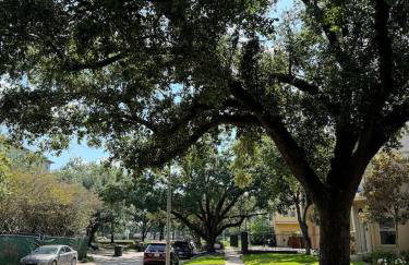 Spacious 1 Bdrm Studio Montrose - Foto 13