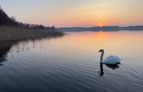 Uroczy Zakątek Boszkowo - Foto 7
