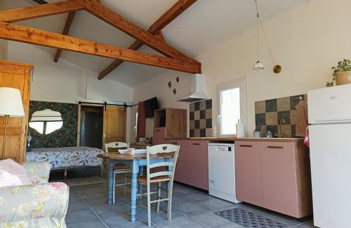 Grand studio et jacuzzi extérieur - Foto 8