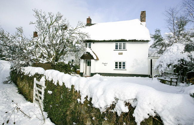 Moorland View Cottage - Photo 16