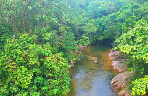 Chalés Cachoeira Azul - Foto 17