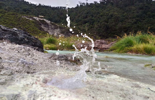 Excursão ao Parque Nacional Puracé + Avistamento do condor andino - Foto 2