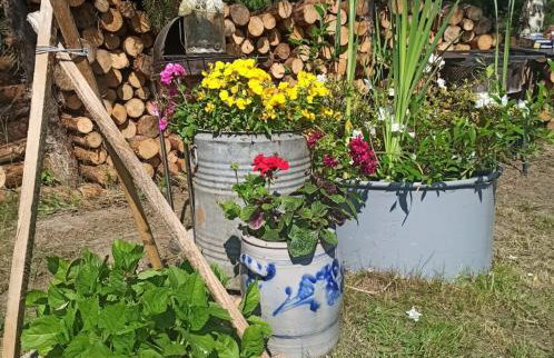 Lawendowa Malanówka - domek nad jeziorem - Foto 43