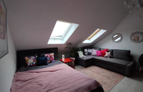 Ropienka ski micro - Foto 10