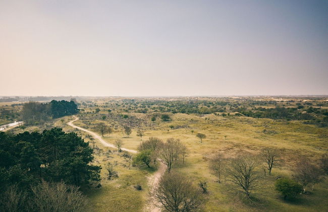 Sunny Dunimar Retreat - Photo 41