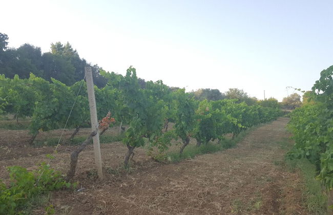 Casale delle Rose - Foto 28