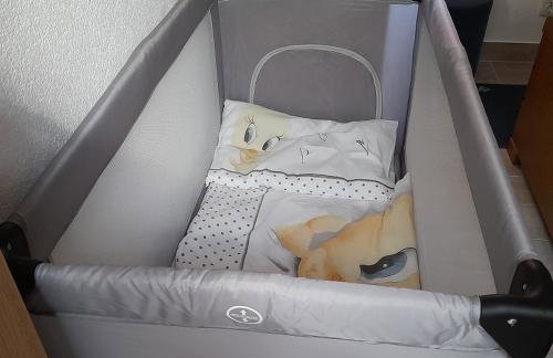 Apartman Jeger - Foto 8