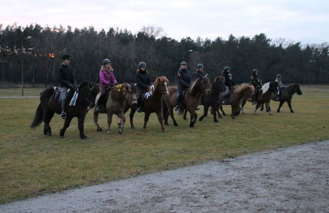 Holiday Apartment V Freyja - Photo 14