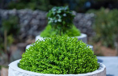 Villa Akulica - Foto 57