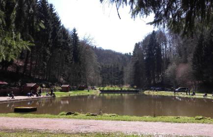 LES BRIMBELLES - Photo 23