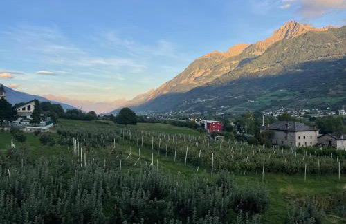 Villa Maffei - Photo 24