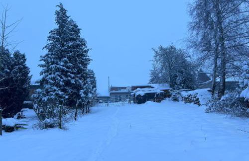 Ferienwohnung Classen Eifel - Foto 31