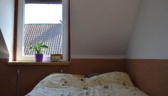 Agroturystyka 'Pod dębem' - Foto 4