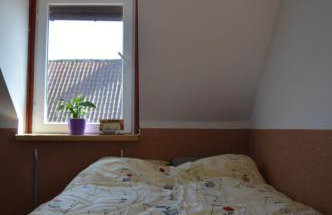 Agroturystyka 'Pod dębem' - Foto 4