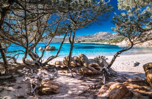 Familyhouse Pevero Hill Porto Cervo - Foto 23