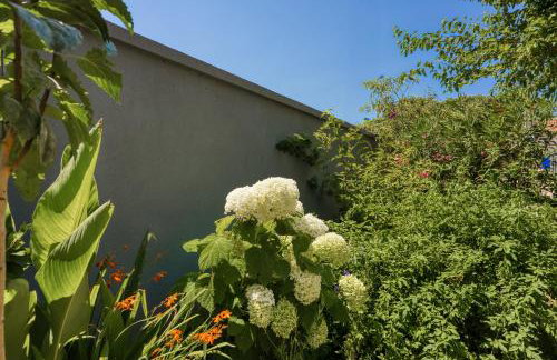 Apartments Lex - Rovinj - Istria - Foto 4