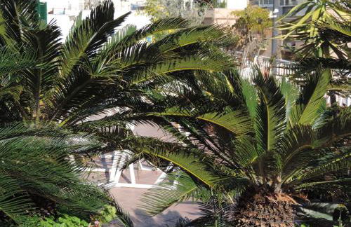 Sinfonia di Napoli - Foto 65