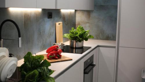 Mint Apartment - Photo 1, stove, pet friendly