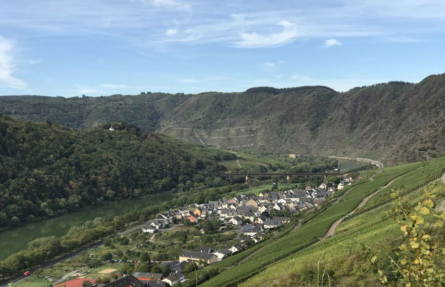 Tante Agnes - Foto 40