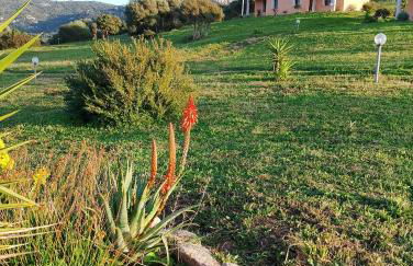 agriturismo gli olivastri -appartamento bel vedere con piscina ,solarium e vista mare,climatizzatore ,wifi - Photo 26