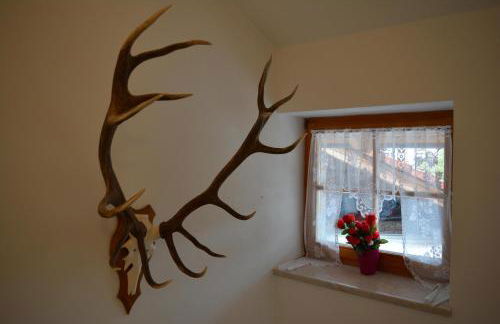 Haus letzte Rose - Foto 18