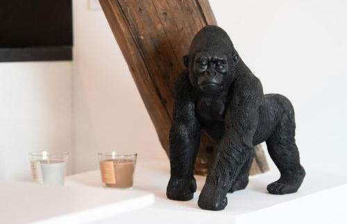 Suite Kella 2 - Tassin - Beau studio rénové - Foto 10