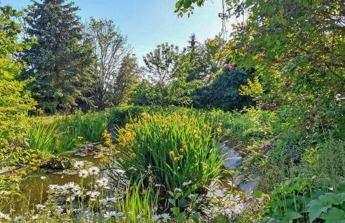 Ferienwohnung Klocksin - Foto 6