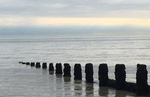 Stay in our beautiful 1850’s Coastguards Cottage. - Photo 10