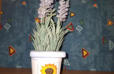 Grazioso monolocale - Foto 7