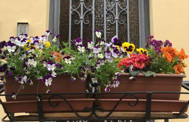 Casa Zaira - Foto 12