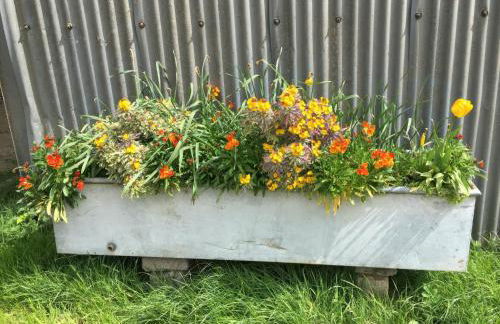 Swallows Nest - Photo 33