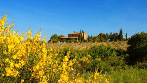 Tenuta Santagnese - Foto 5, Other