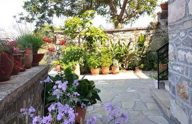 Villa Petri - Foto 10