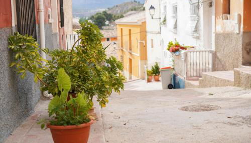 La Carpinteria Alojamiento - Foto 4