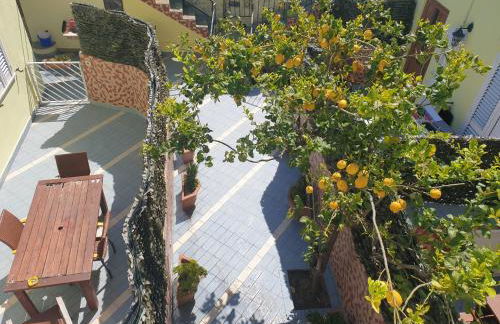 Hotel Mareluna Ischia - Foto 68