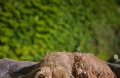 Casa Patio del Vino - Foto 4