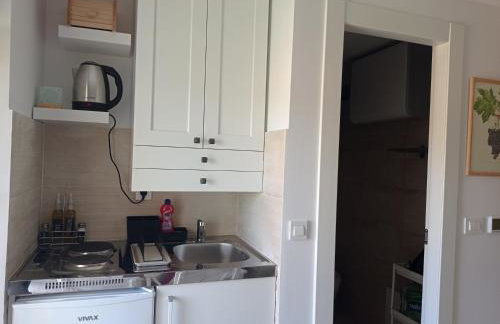 Heritage Apartments Kyra & Fox in Pitve, Hvar - Photo 36