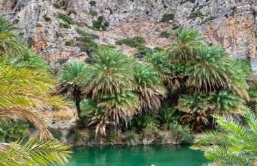 Amorelia Casa - Foto 19