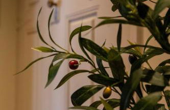 Casa dos Livros - Guest House - Foto 89