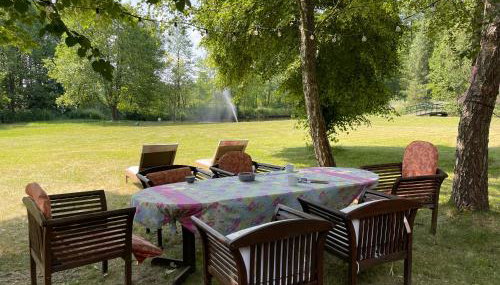 Komfortowy dom w lesie - Foto 3, Garden