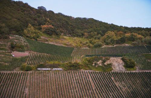 Moselhaus by Clüsserath-Wittmann - Foto 10