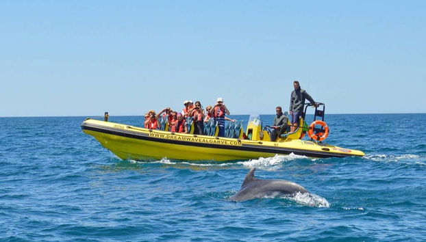 Avistando un delfín durante el paseo en lancha por el Algarve