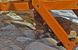 Casa Vacanze La Dimora di Santa Barbara - Foto 21