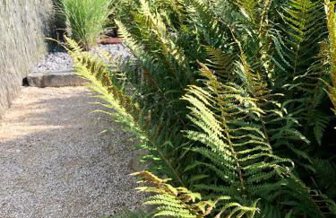 Ferienhaus Eifel-Auszeit - Foto 14