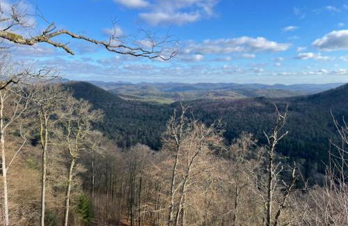 Ferienwohnung Erlehof - Foto 9