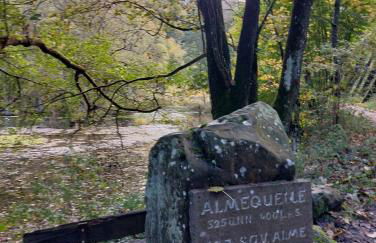 HAUS BRAILEN in Brilon Alme - Foto 51