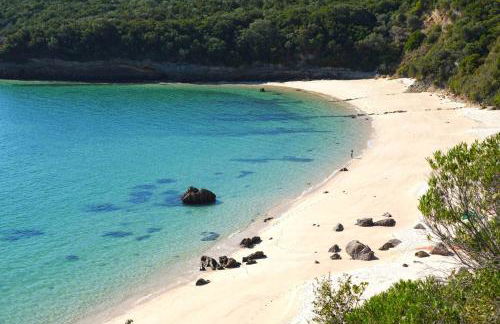 Sado River Haven - Foto 32