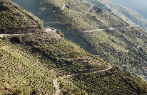 Casiñas do Sil - Foto 32