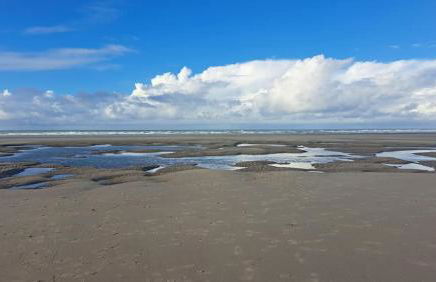 Le Metz, Duplex, 2 Chambres - Foto 13