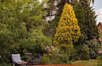 Heimathafen Hannover- Big House with swimmingpool, sauna and garden - Foto 12